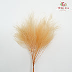 Preservative Luxuan Grass Natural - Pudu Ria Florist Southern