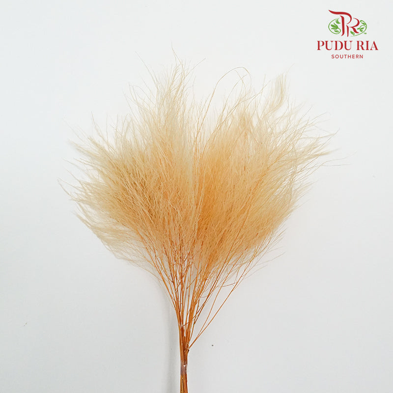 Preservative Luxuan Grass Natural - Pudu Ria Florist Southern