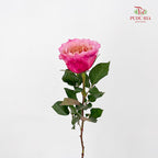 Rose Miyabi 玫瑰雅致 - (8-10 Stems)