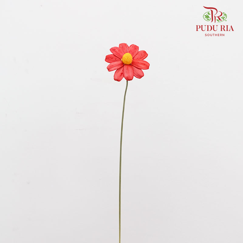 Dry Sunflower Seed Flower - Red (Disk Flower Yellow)