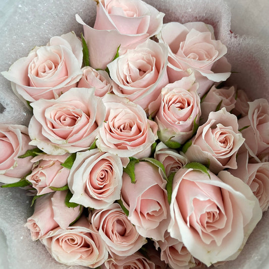 Rose Spray Pink Majolika - (10-12 Stems)