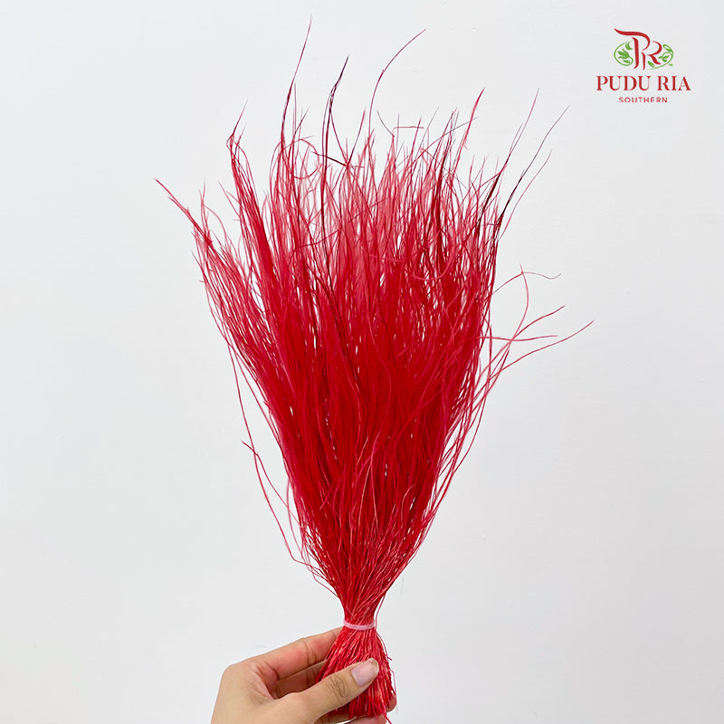 Dry Stipa Grass (Feather Grass) Red