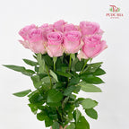 Rose Pink Sweet Avalanche - (8-10 Stems)