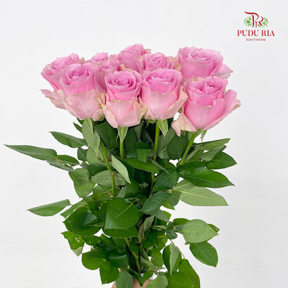 Rose Pink Sweet Avalanche - (8-10 Stems)