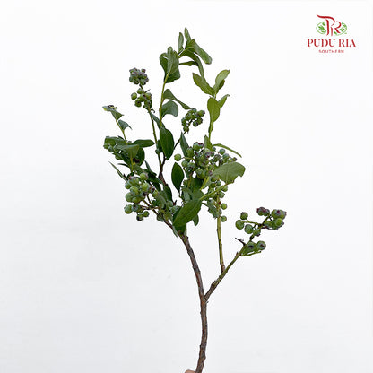 Vaccinium (Berry) - (2 Stems)