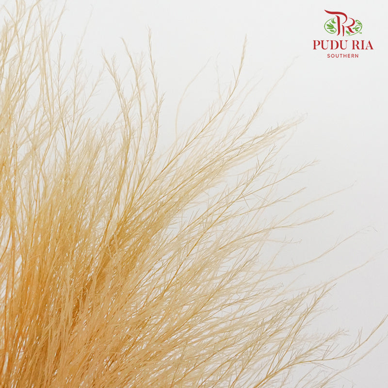Preservative Luxuan Grass Natural - Pudu Ria Florist Southern