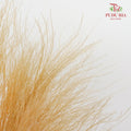 Preservative Luxuan Grass Natural - Pudu Ria Florist Southern