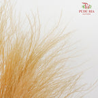 Preservative Luxuan Grass Natural - Pudu Ria Florist Southern