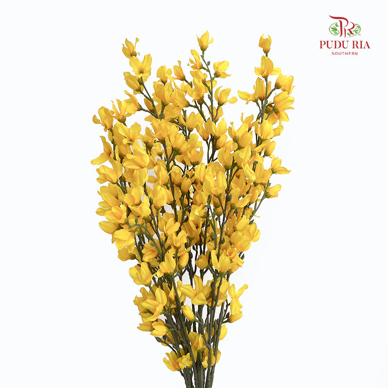 CNY Artificial Forsythia Spray 94cm - (5 Stems)