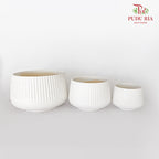 JBC-G23 Pearl White Pot