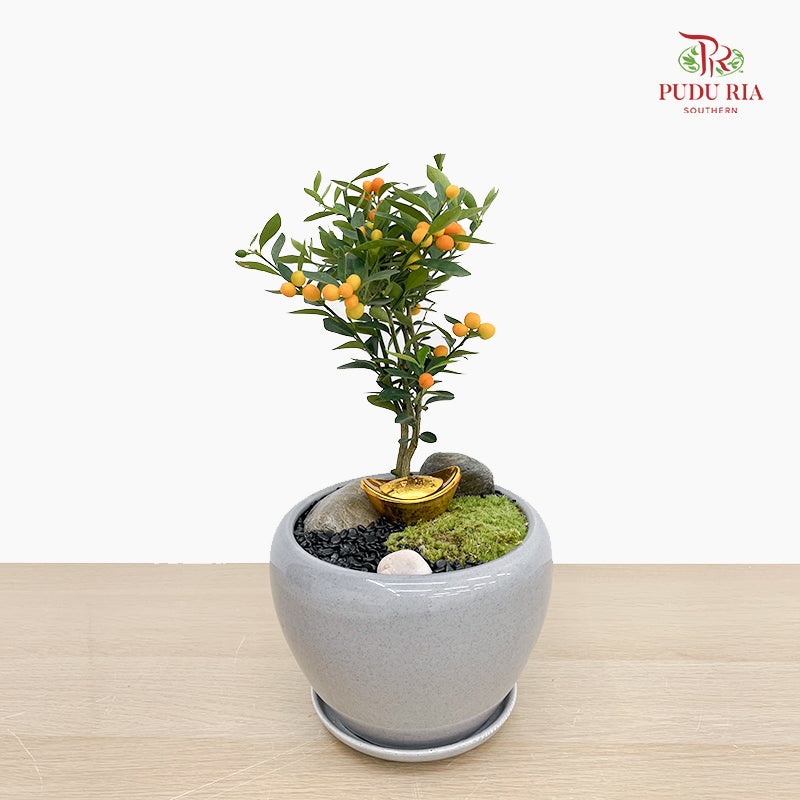 CNY Potted Plant Arrangement 2025#33