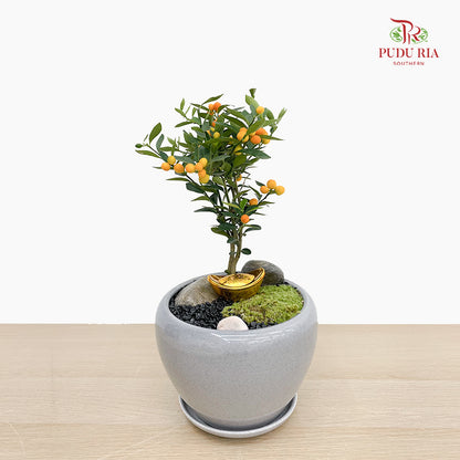 CNY Potted Plant Arrangement 2025#33