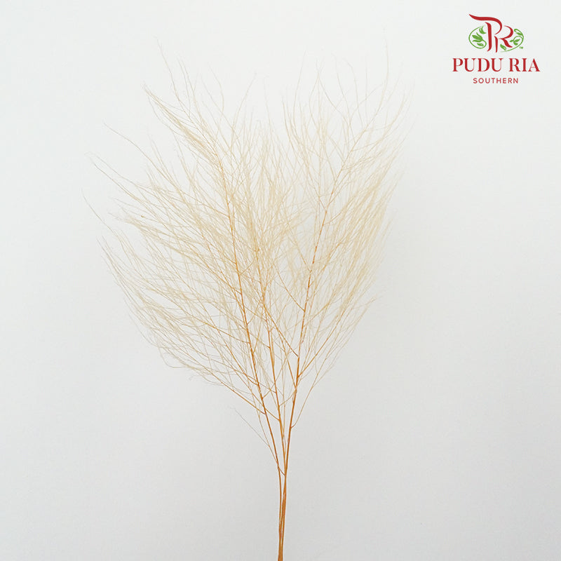 Preservative Luxuan Grass Natural - Pudu Ria Florist Southern