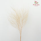 Preservative Luxuan Grass Natural - Pudu Ria Florist Southern