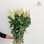Rose Light Yellow - (19-20 Stems)