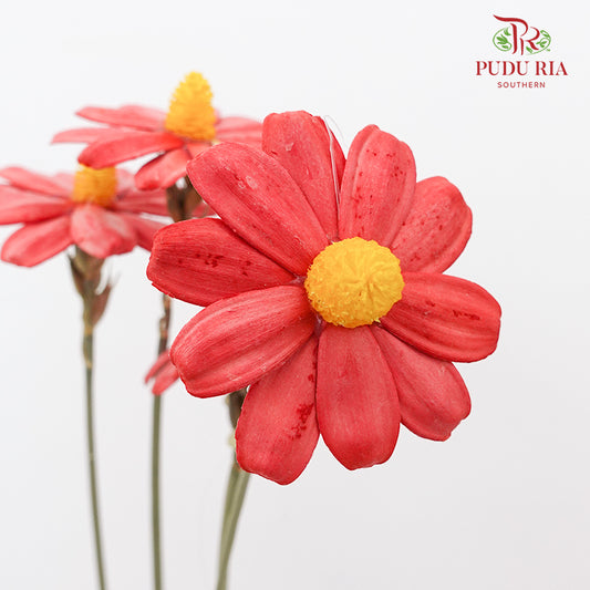 Dry Sunflower Seed Flower - Red (Disk Flower Yellow)