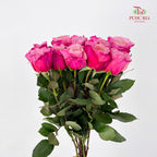 Rose Miyabi 玫瑰雅致 - (8-10 Stems)