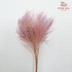 Preservative Luxuan Grass Purple - Pudu Ria Florist Southern