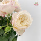 Rose Spray Kayla - (8-10 Stems)