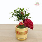 CNY Potted Plant Arrangement 2025#21