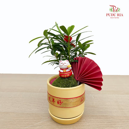 CNY Potted Plant Arrangement 2025#21