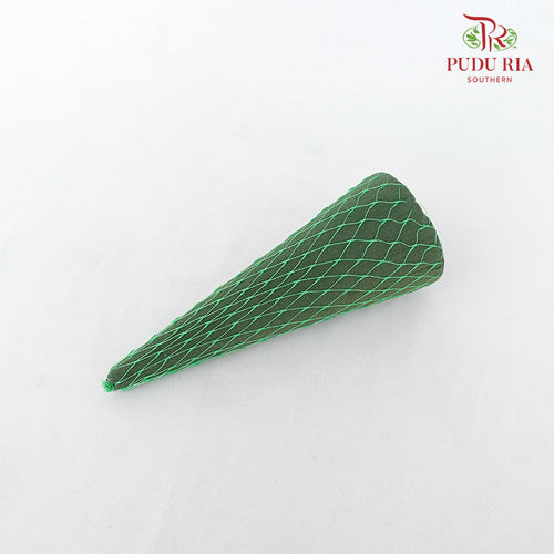 Oasis - Cone 24cm Height With Net