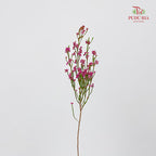 Erica Pink - (Per Bundle)