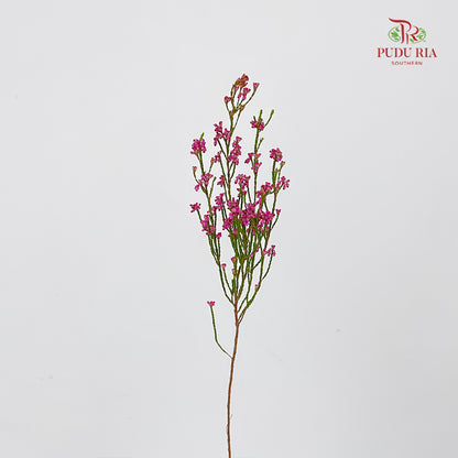 Erica Pink 欧石楠 - (Per Bundle)