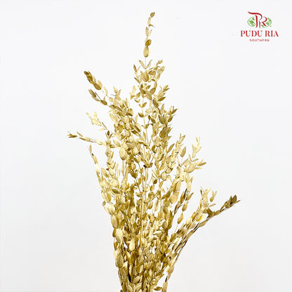 Preservative Eucalyptus Metal