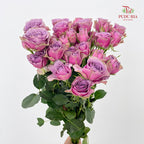 Rose Spray Purple Sky - (8-10 Stems)