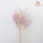 Preservative Luxuan Grass Purple - Pudu Ria Florist Southern