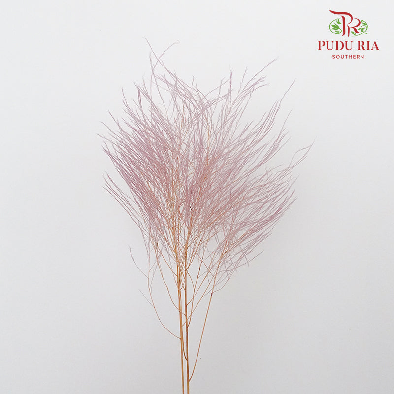 Preservative Luxuan Grass Purple - Pudu Ria Florist Southern