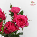 Rose Spray Sophie - (8-10 Stems)