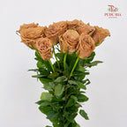 Rose Toffe - (8-10 Stems)