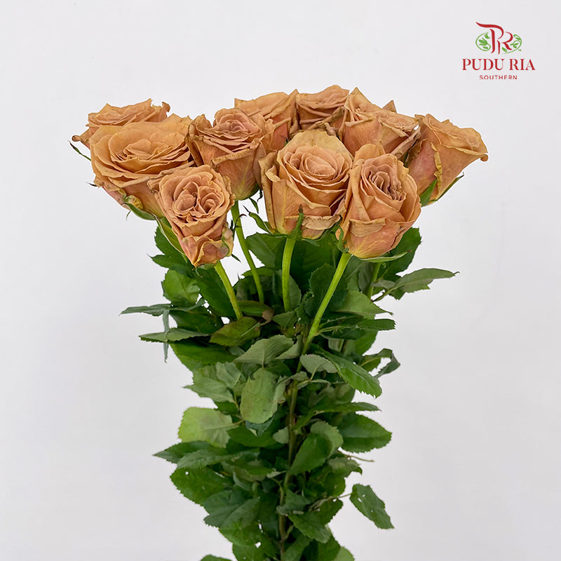 Rose Toffe - (8-10 Stems)