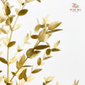 Preservative Eucalyptus Metal