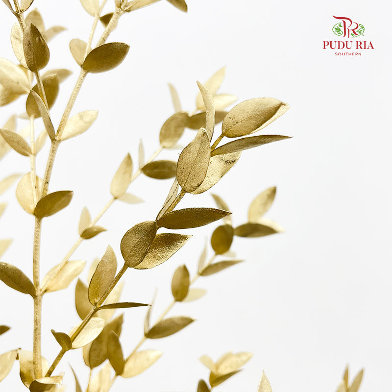 Preservative Eucalyptus Metal