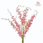 CNY Artificial Spider Orchid - (3 Stems)