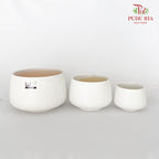 JBC-G22 Pearl White Pot
