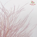 Preservative Luxuan Grass Purple - Pudu Ria Florist Southern