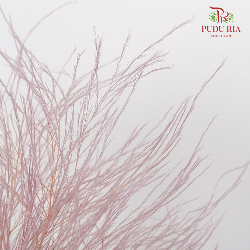 Preservative Luxuan Grass Purple - Pudu Ria Florist Southern