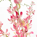CNY Artificial Spider Orchid - (3 Stems)