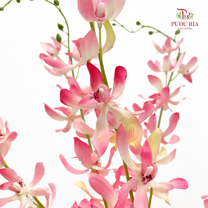 CNY Artificial Spider Orchid - (3 Stems)