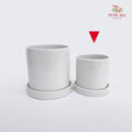 White Pot