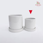 White Pot
