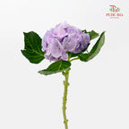 Hydrangea 绣球花 - (Per Stem)