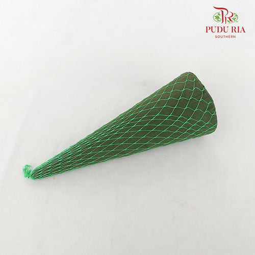 Oasis - Cone 32cm Height With Net