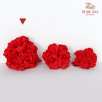 红绣球 Ribbon Ball