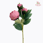 CNY Artificial Peony Sarah Spray Pink 80cm - (2 Stems)