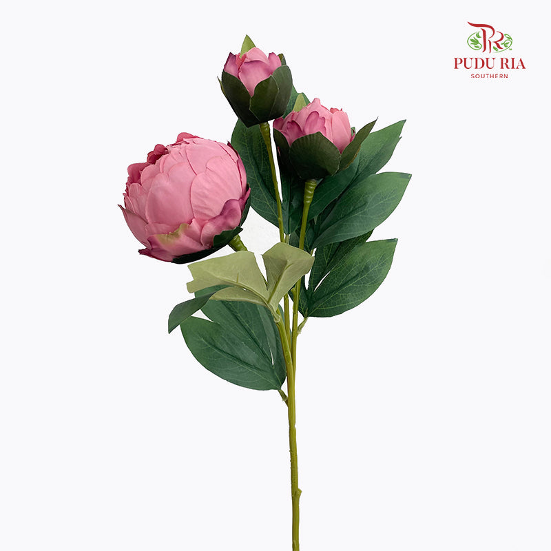 CNY Artificial Peony Sarah Spray Pink 80cm - (2 Stems)
